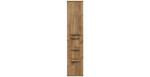 HOCHSCHRANK 35/165/37 cm  - Edelstahlfarben/Alteiche, Design, Glas/Holz (35/165/37cm) - Dieter Knoll