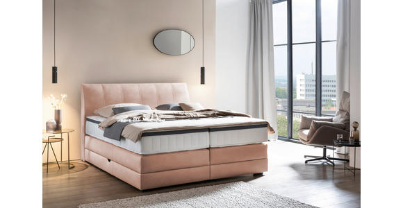 BOXSPRINGBETT 160/200 cm in - Wengefarben, KONVENTIONELL, Holz/Textil (160/200cm) - Novel