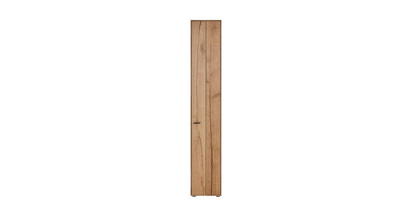 ZEILENSCHRANK  35,5/205,5/37,1 cm  - Eichefarben/Graphitfarben, Design, Holz/Holzwerkstoff (35,5/205,5/37,1cm) - Dieter Knoll