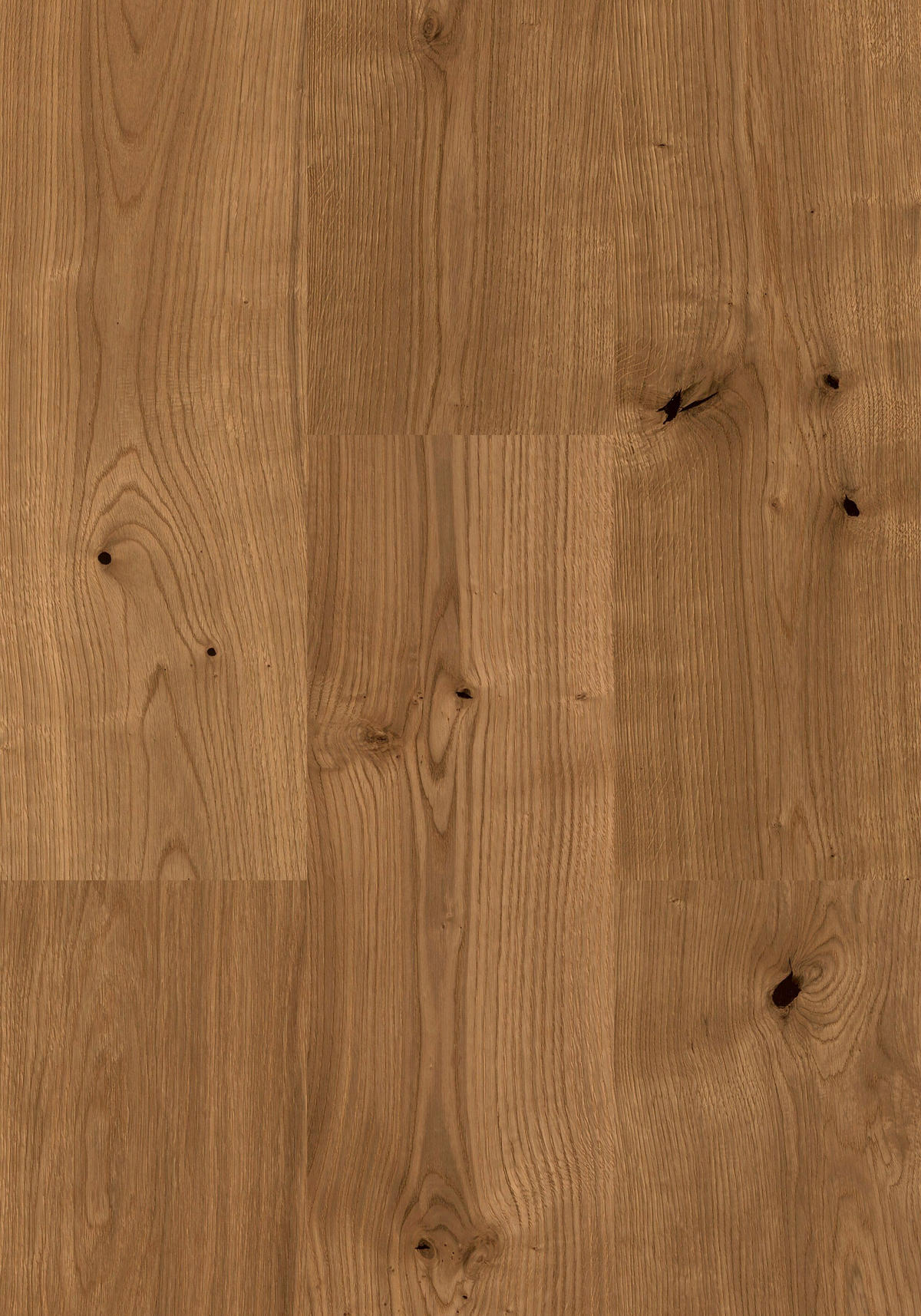 DESIGNBODEN  per  m² - Eichefarben/Multicolor, Design, Holzwerkstoff (181,5/20/1cm) - Venda