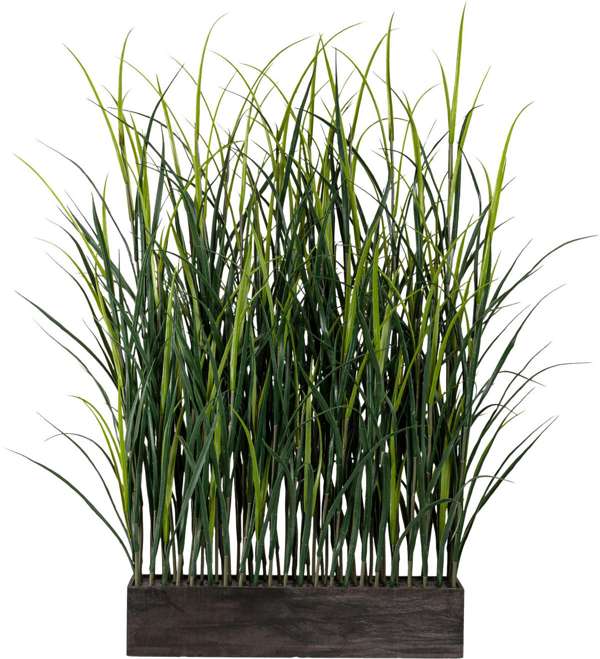 KUNSTPFLANZE 120 cm  - Braun/Grün, Design, Holz/Kunststoff (120cm) - P & B