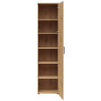 MEHRZWECKSCHRANK 45/195/40 cm  - Anthrazit/Schwarz, MODERN, Holzwerkstoff/Kunststoff (45/195/40cm) - Carryhome