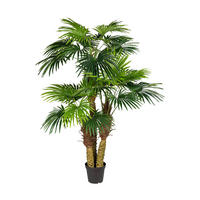 KUNSTPFLANZE Palme 185 cm  - Schwarz/Braun, Design, Kunststoff (185cm)