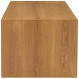 COUCHTISCH in Holz, Holzwerkstoff 90/55/42,5 cm  - Eichefarben/Schwarz, Design, Holz/Holzwerkstoff (90/55/42,5cm) - Carryhome
