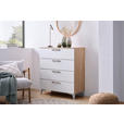 REGAL Eichefarben  - Eichefarben/Schwarz, KONVENTIONELL, Holzwerkstoff/Kunststoff (46/90/40cm) - Hom`in
