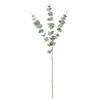 KUNSTPFLANZE Eukalyptus  - Dunkelgrün/Grün, Basics, Kunststoff (100cm)