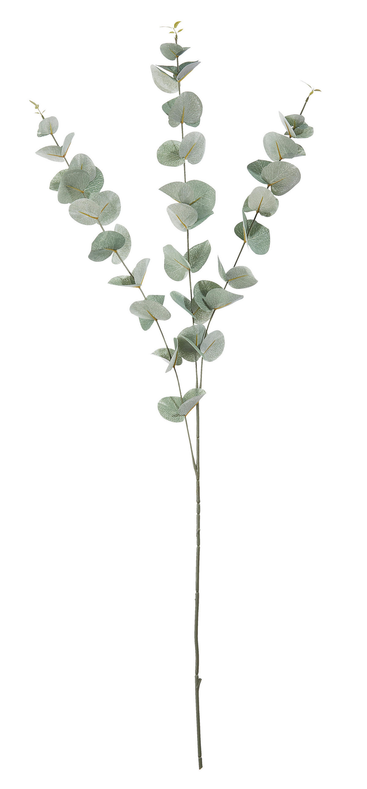VEŠTAČKA BILJKA  Eucalyptus         100 cm    - zelena/tamnozelena, Osnovno, plastika (100cm)