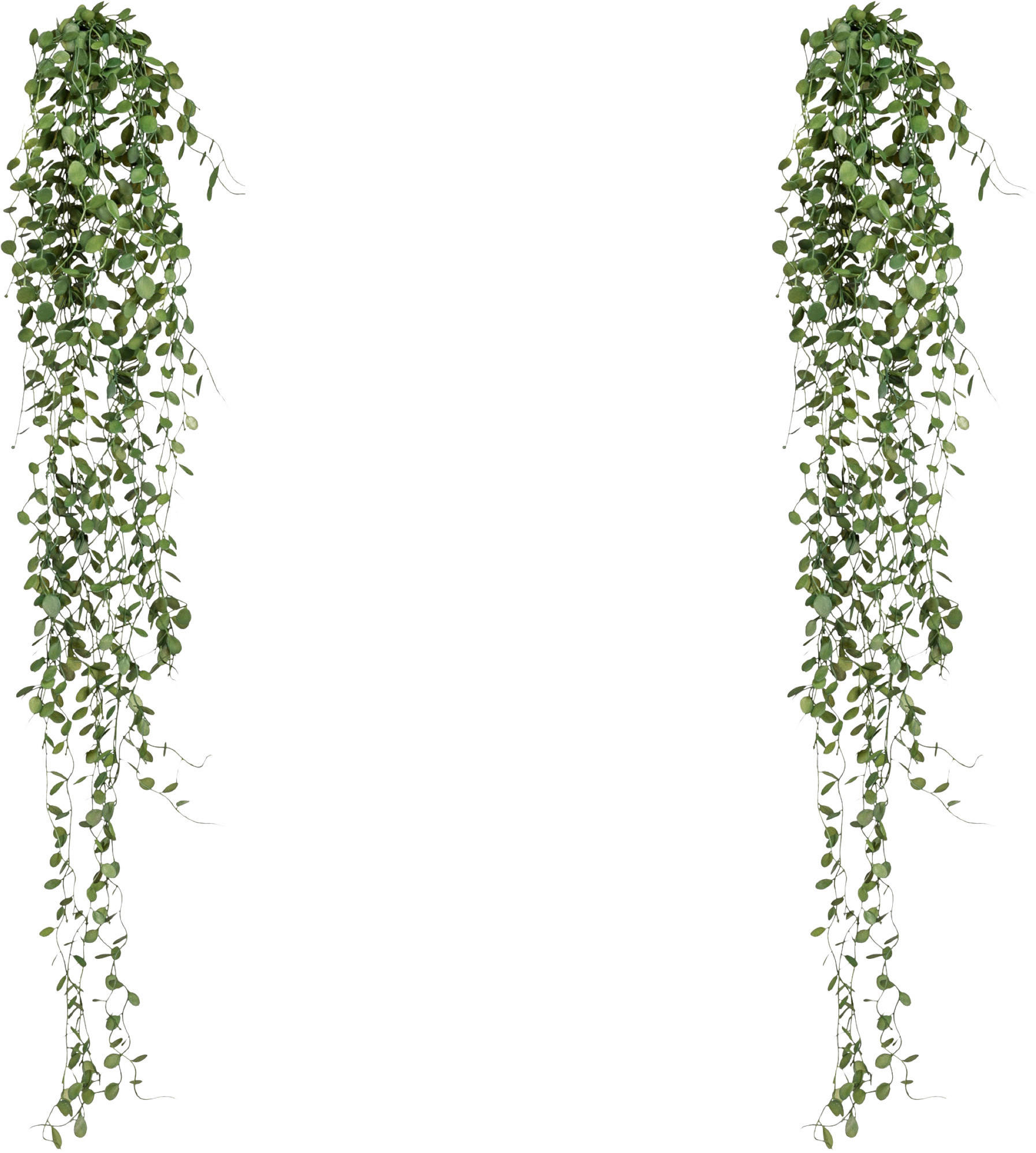 KUNSTPFLANZE 80 cm  - Dunkelgrün, Design, Kunststoff (80cm) - P & B