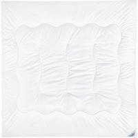 GANZJAHRESDECKE 200/200 cm  - Weiß, Basics, Textil (200/200cm) - Sleeptex