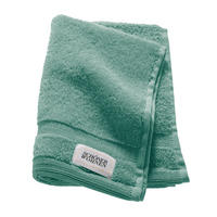 GÄSTETUCH SW-Cuddly Grün, Mintgrün, Pastellgrün, Salbeigrün  - Salbeigrün/Pastellgrün, Basics, Textil (30/50cm) - Schöner Wohnen