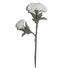 KUNSTBLUME - Braun/Weiß, Basics, Kunststoff/Metall (90cm) - Ambia Home KUNSTBLUME - Braun/Weiß, Basics, Kunststoff/Metall (90cm) - Ambia Home
