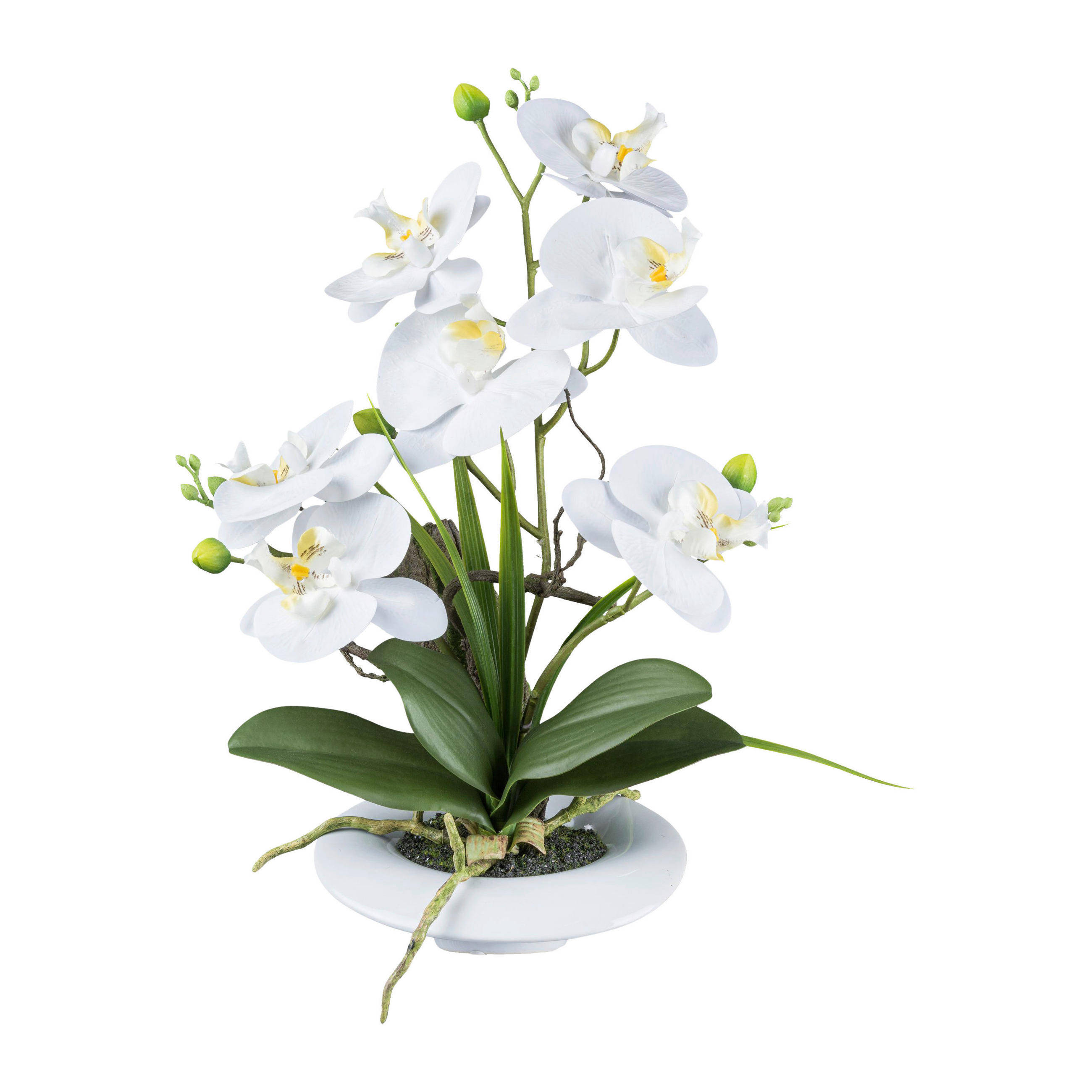 KUNSTPFLANZE Orchidee 41 cm  - Weiß/Grün, Design, Keramik/Kunststoff (41cm)