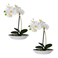 ORCHIDEEN-SET 2TLG. Orchidee 30 cm  - Weiß/Grün, Design, Keramik/Kunststoff (30cm)