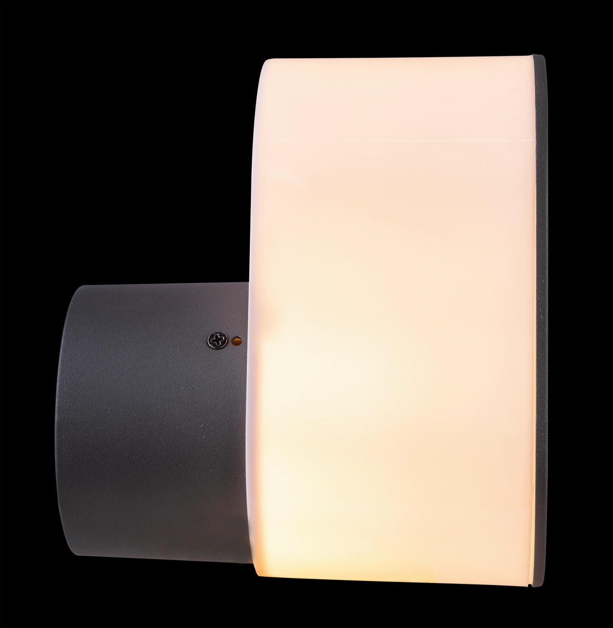 ZUNANJA STENSKA SVETILKA  Salli   12/17,5/20 cm          - antracit, Basics, kovina/umetna masa (12/17,5/20cm)