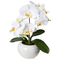 KUNSTPFLANZE Orchidee 35 cm  - Weiß/Grün, Design, Keramik/Kunststoff (35cm) - P & B