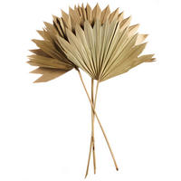 TROCKENBLUME - Basics (40cm) - ASA