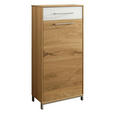 SCHUHSCHRANK  in 44/105/37 cm  - Edelstahlfarben/Eichefarben, Natur, Glas/Holz (44/105/37cm) - Novel