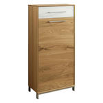 SCHUHSCHRANK  in 44/105/37 cm  - Edelstahlfarben/Eichefarben, Natur, Glas/Holz (44/105/37cm) - Novel