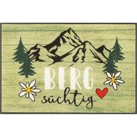 FUßMATTE  50/75 cm  Multicolor  - Multicolor, ROMANTIK / LANDHAUS, Kunststoff/Textil (50/75cm) - wash+dry