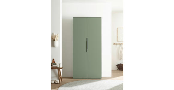 SCHUHSCHRANK  in 90/195/38 cm  - Salbeigrün/Schwarz, Design, Holzwerkstoff/Kunststoff (90/195/38cm) - Voleo