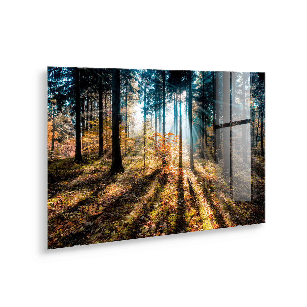 GLASBILD Landschaft & Natur 70/100 cm  - Multicolor, Basics, Glas/Papier (70/100cm)