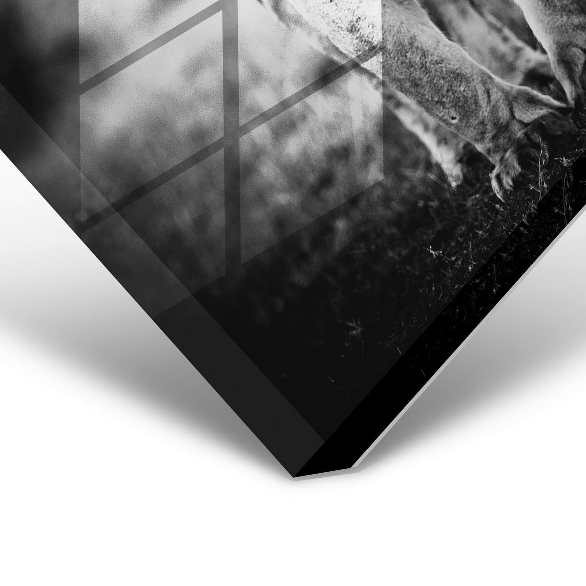 BILD 100/100 cm  - Schwarz/Grau, Design, Kunststoff (100/100cm)