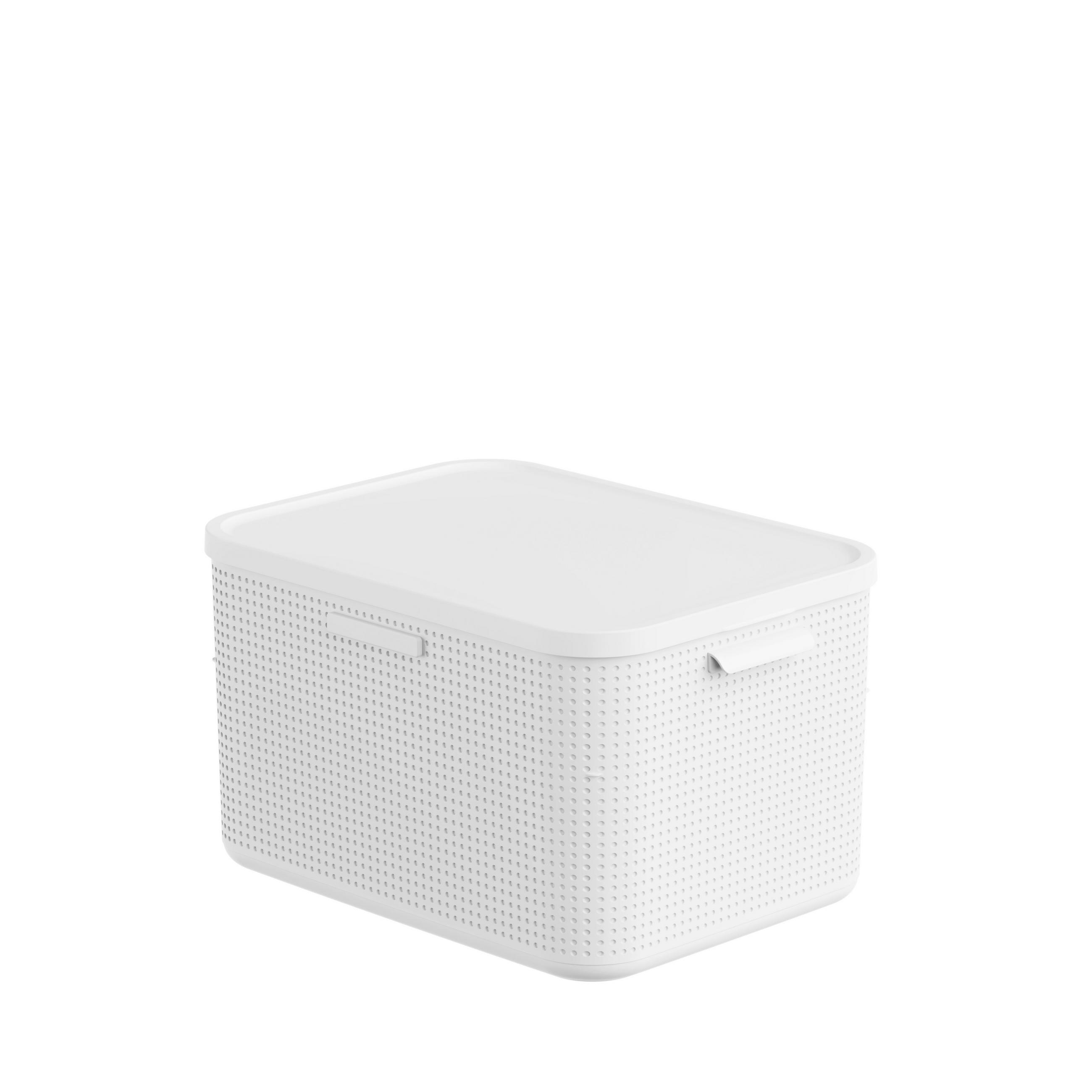 BOX MIT DECKEL     - Weiß, Basics, Kunststoff (35,6/28,2/50cm) - Rotho