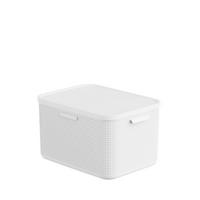 BOX MIT DECKEL     - Weiß, Basics, Kunststoff (35,6/28,2/50cm) - Rotho