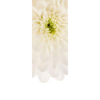 NON WOVEN-TAPET 100/280 cm  - vit/gul, Basics (100/280cm) - Komar