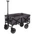 BOLLERWAGEN Anthrazit - Anthrazit, Basics, Kunststoff/Textil (79/54/107cm) BOLLERWAGEN Anthrazit - Anthrazit, Basics, Kunststoff/Textil (79/54/107cm)