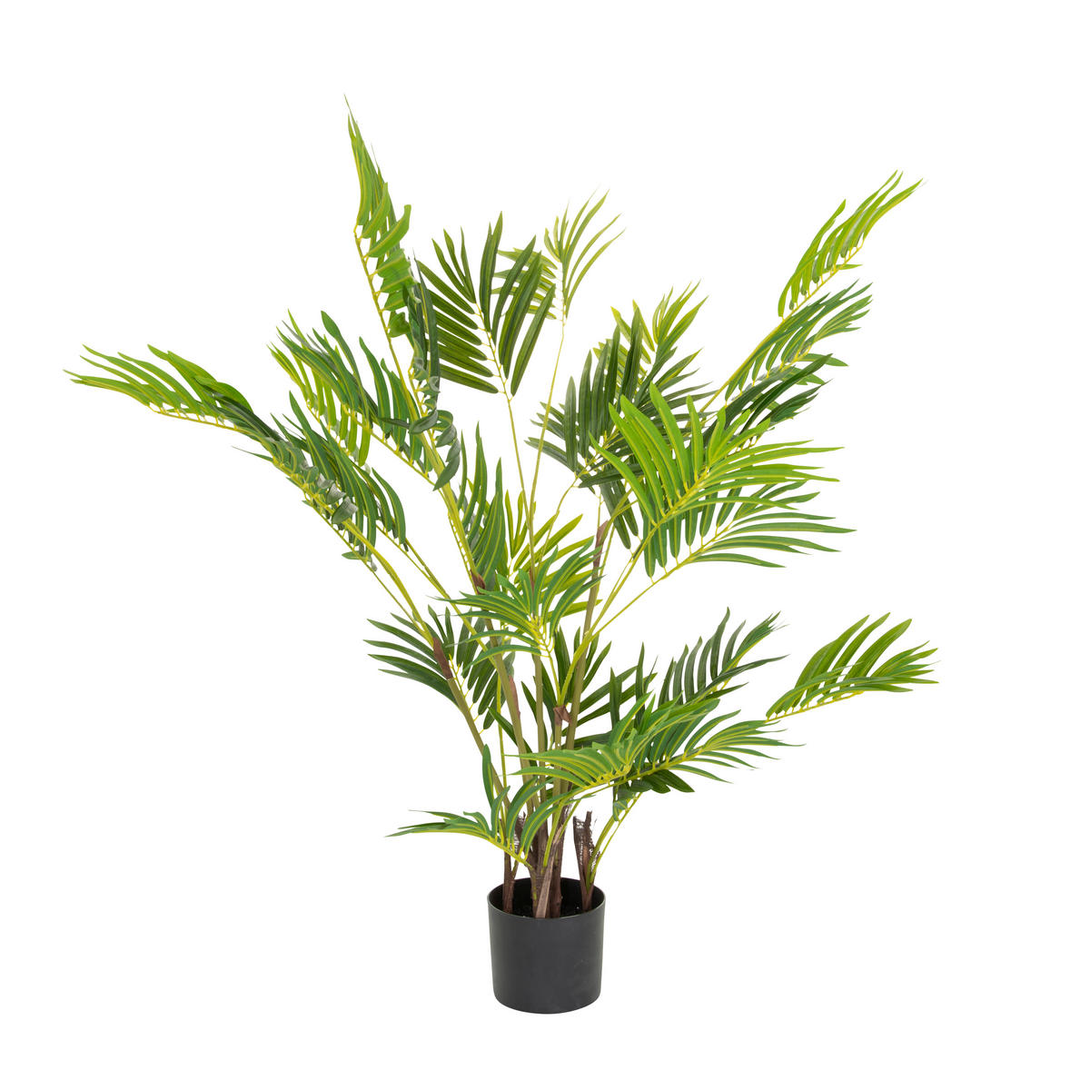 KUNSTPFLANZE Palme  - Schwarz/Braun, Basics, Kunststoff (70/120/70cm) - MID.YOU