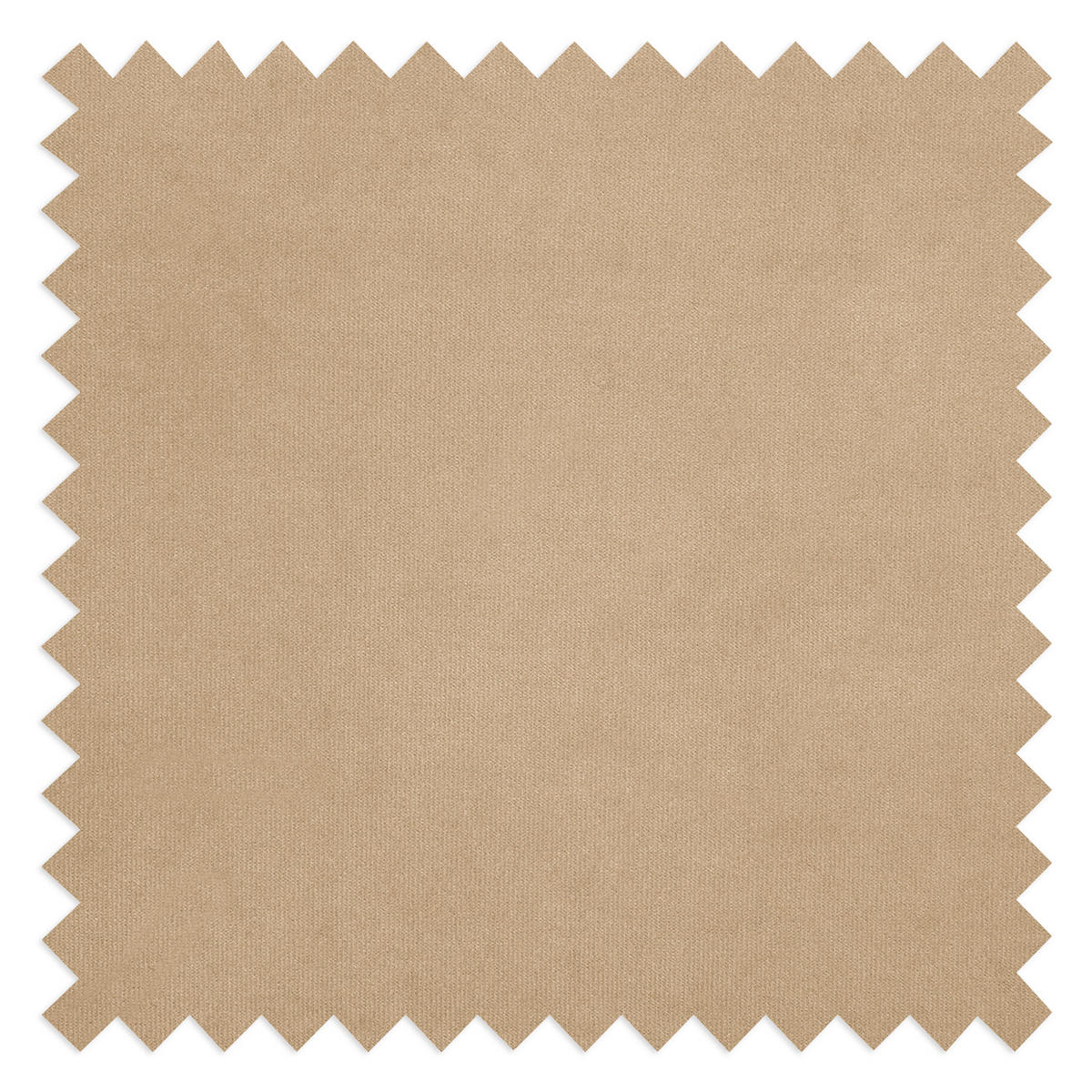 SESSEL in Samt Beige  - Beige/Schwarz, Design, Holz/Textil (74/86/100cm) - P & B