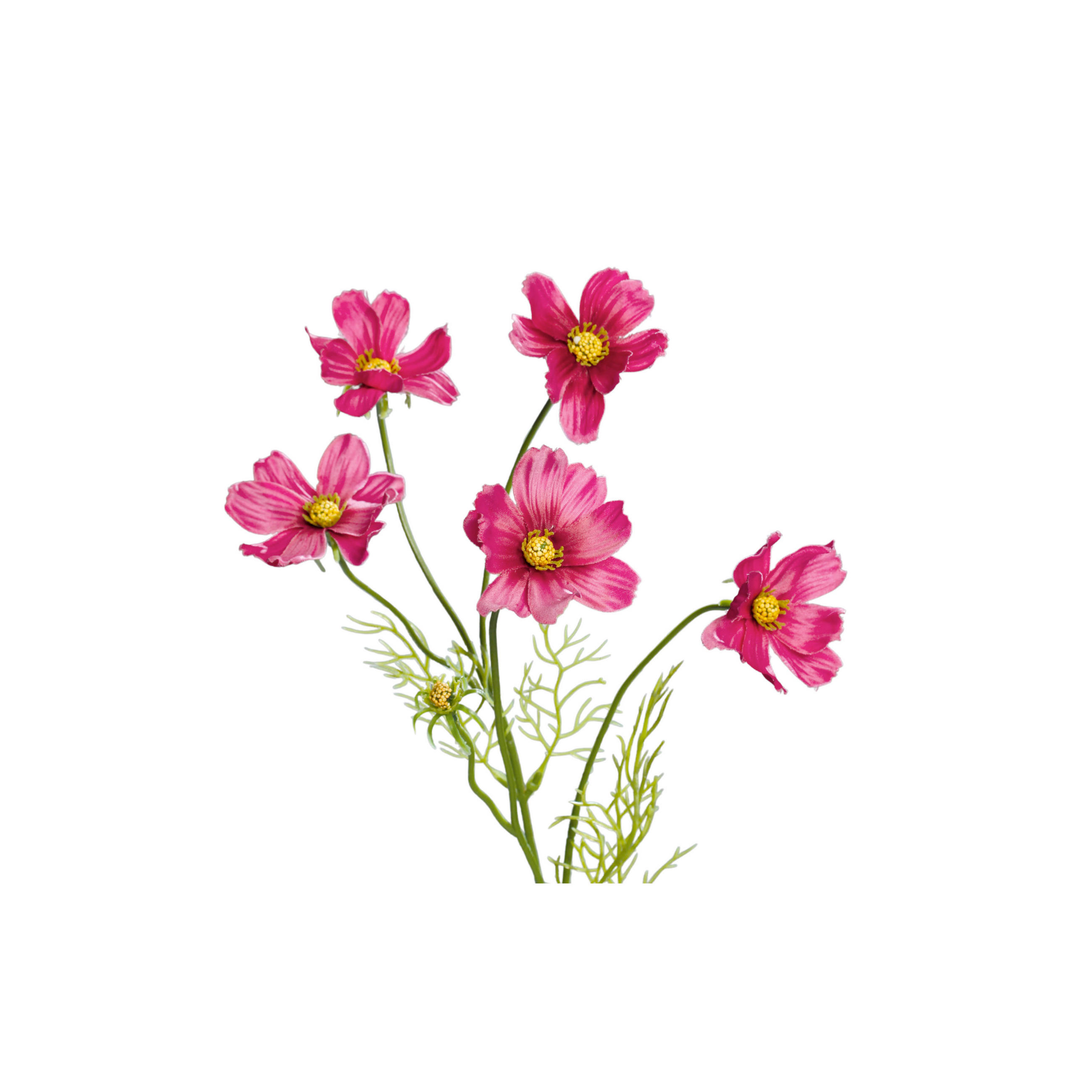 COSMEA - Violett/Grün, LIFESTYLE, Kunststoff/Textil (67cm)