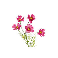 COSMEA - Violett/Grün, LIFESTYLE, Kunststoff/Textil (67cm)