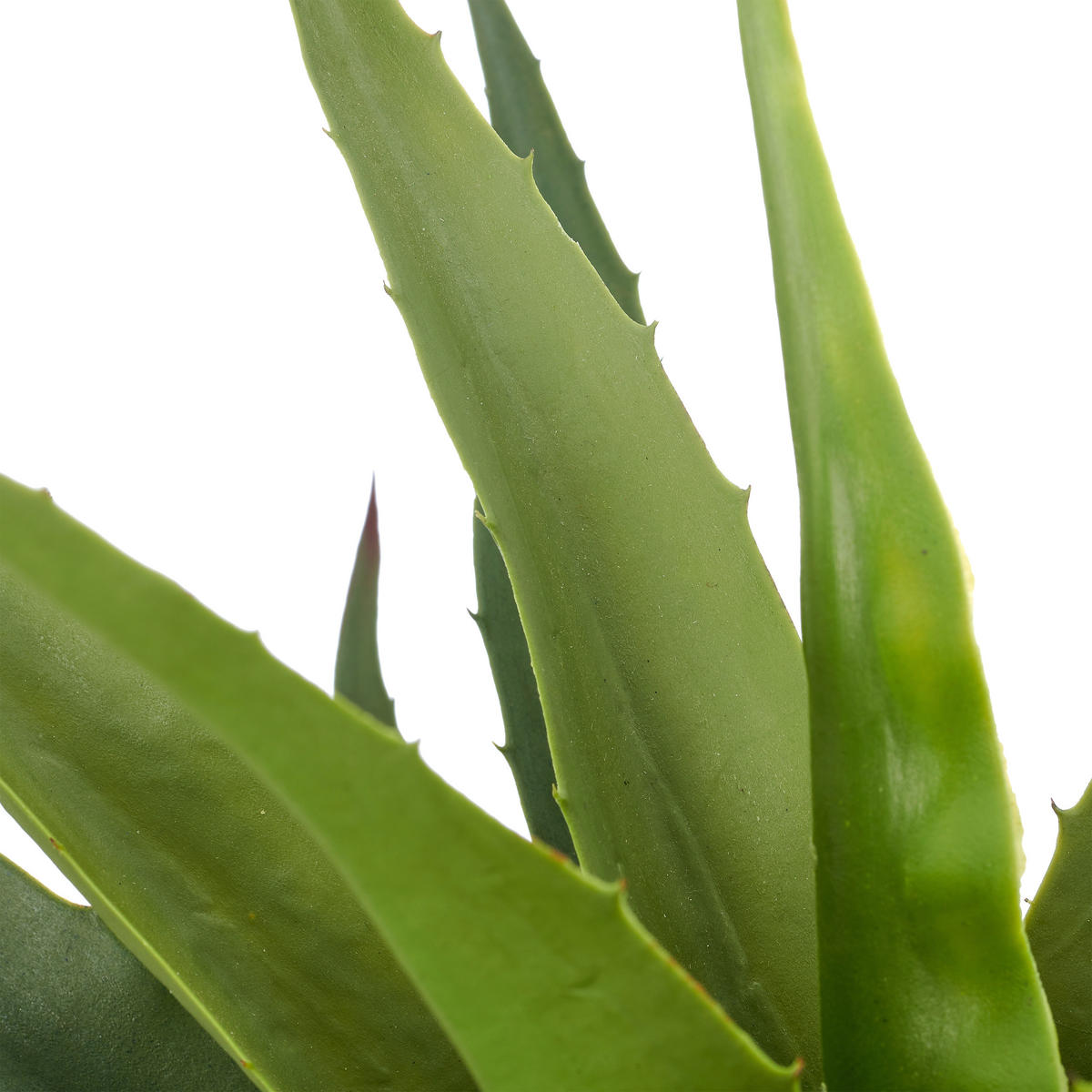 KUNSTPFLANZE Agave 65 cm  - Creme/Grün, Basics, Kunststoff (65cm)