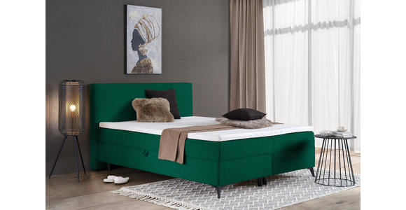 BOXBETT 180/200 cm in Rosa - Schwarz/Rosa, Design, Holz/Holzwerkstoff (180/200cm) - Xora