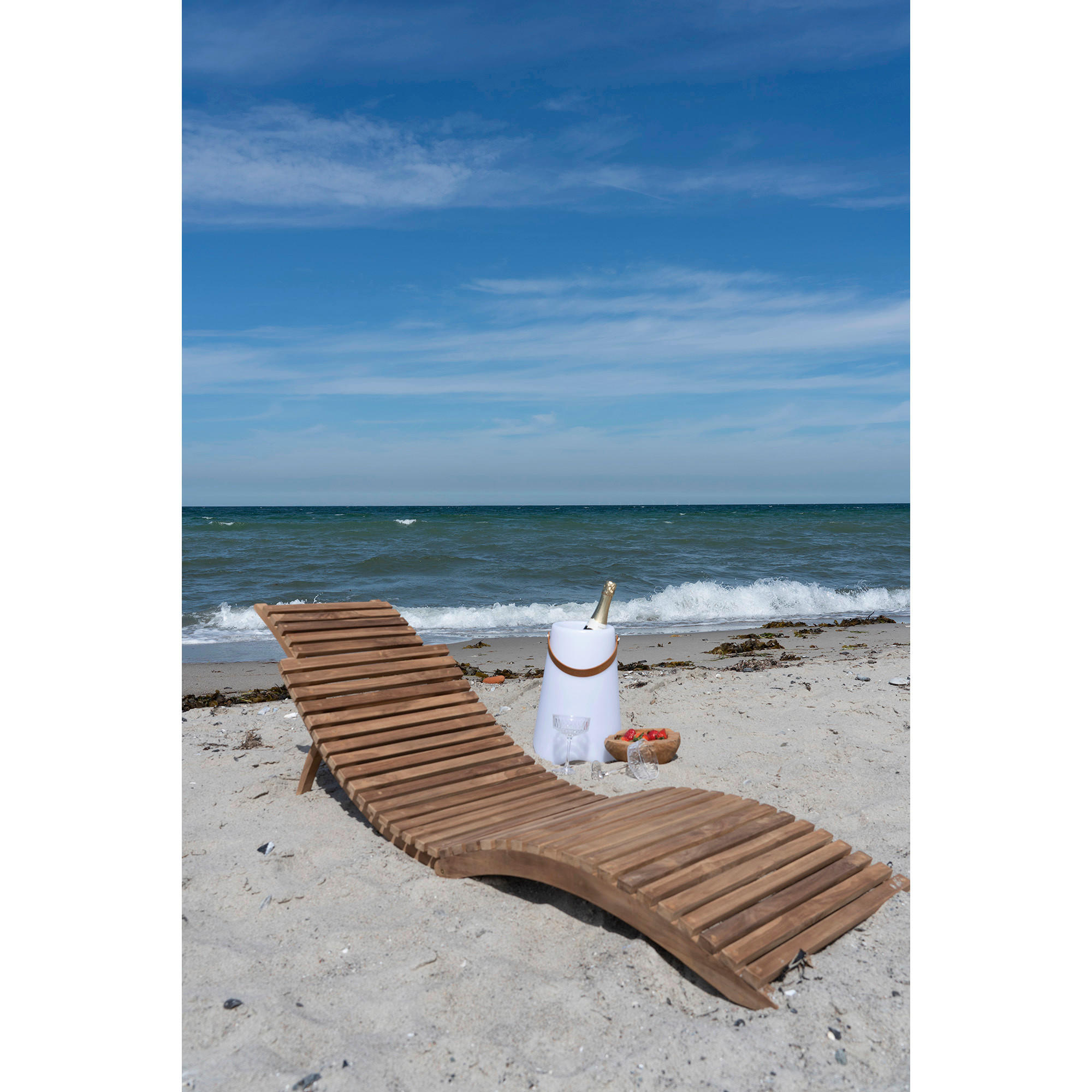 Gardenson Sonnenliege Braun 50x25x160 cm