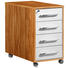 ANSTELLCONTAINER Buchefarben, Weiß - Buchefarben/Silberfarben, Design, Kunststoff/Metall (43/75/80cm)