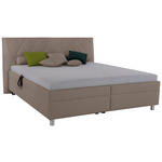 POLSTERBETT Matratze, Lattenrost, Bettkasten 200/200 cm  in Cappuccino  - Birkefarben/Silberfarben, KONVENTIONELL, Holz/Textil (200/200cm) - Esposa