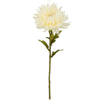 KUNSTBLUME - Creme/Weiß, LIFESTYLE (62cm)