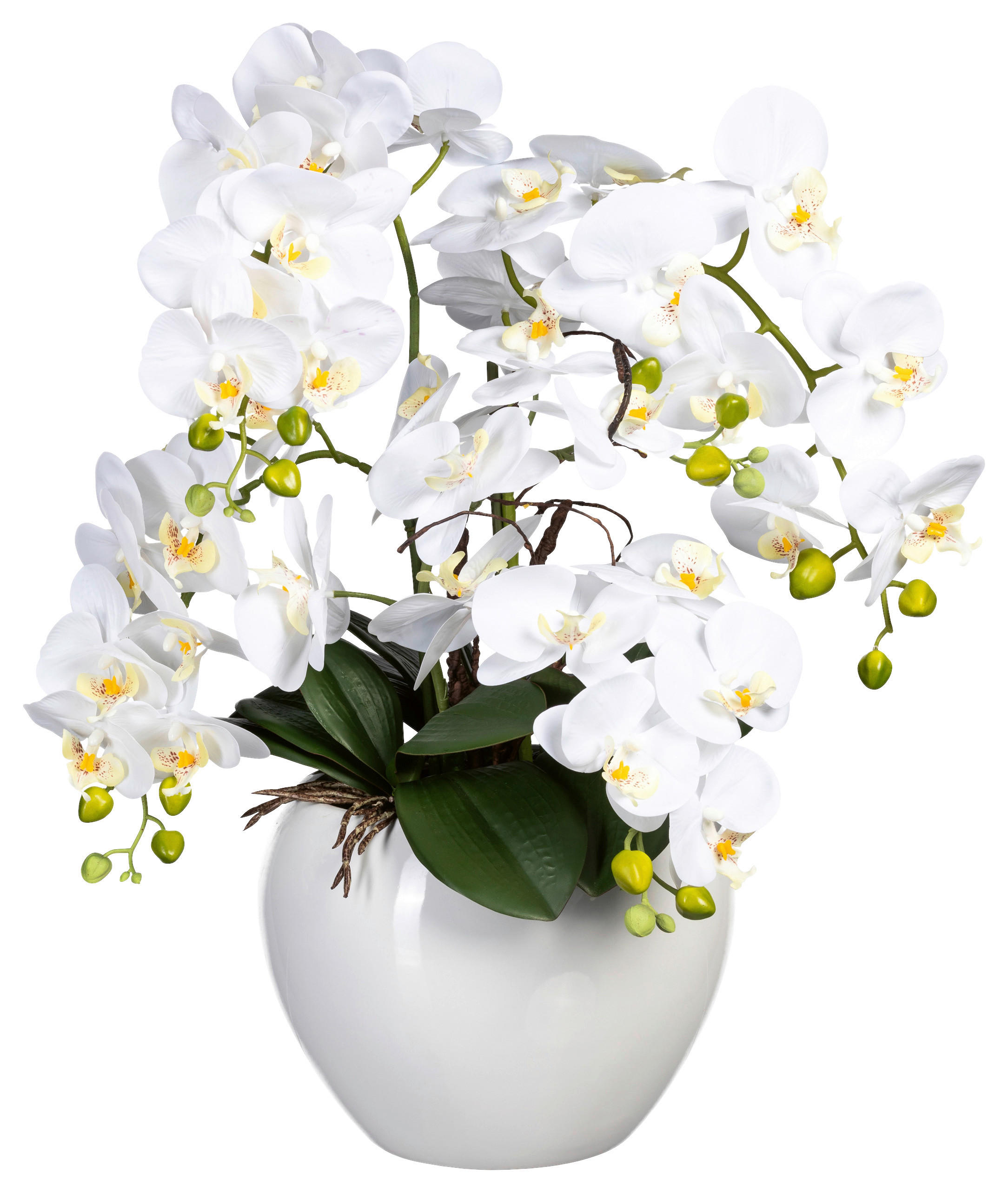KUNSTPFLANZE Orchidee 56 cm  - Weiß/Grün, Design, Keramik/Kunststoff (56cm) - P & B