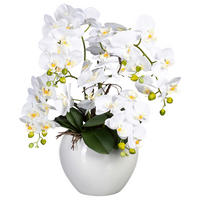 KUNSTPFLANZE Orchidee 56 cm  - Weiß/Grün, Design, Keramik/Kunststoff (56cm) - P & B