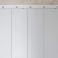 INNENVERKLEIDUNG - Weiß/Grau, Design, Metall (27,9/203,5/2cm) - Biohort