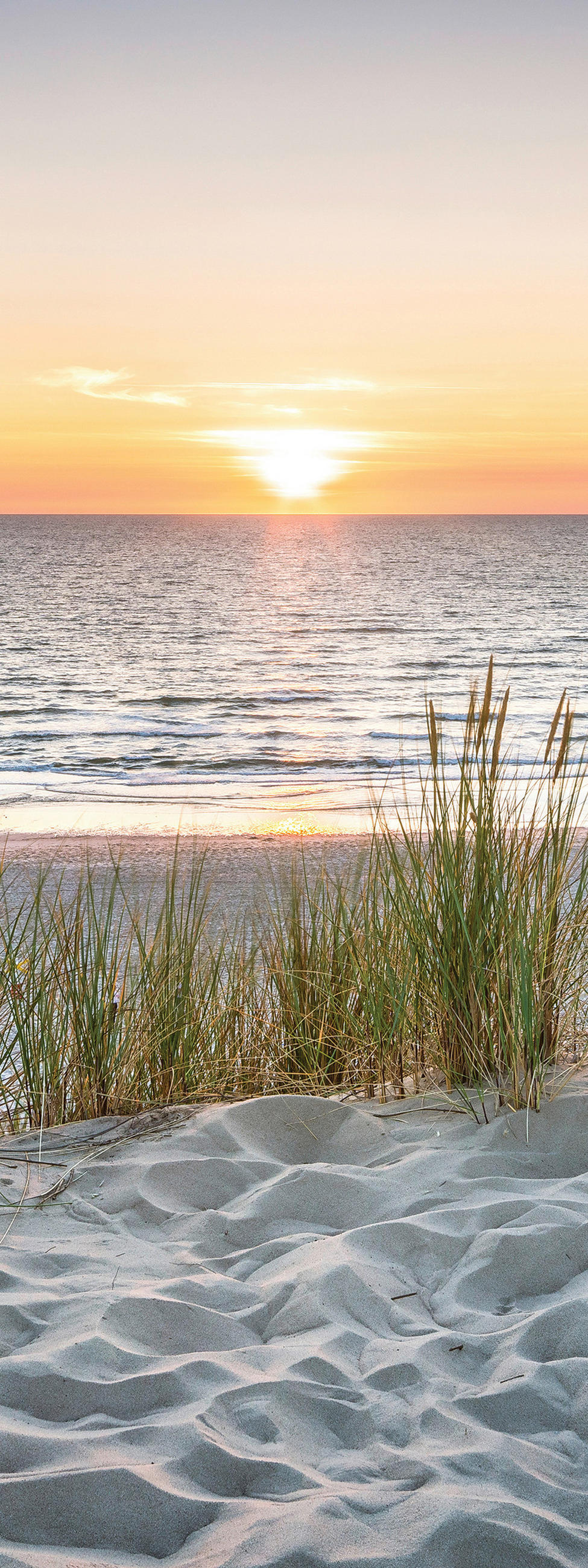 LEINWANDBILD Strand & Meer  - Multicolor, Natur, Holz/Papier (30/80cm)