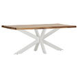 TISCHPLATTE      - Sheeshamfarben, Design, Holz (200/100/5cm) - Landscape