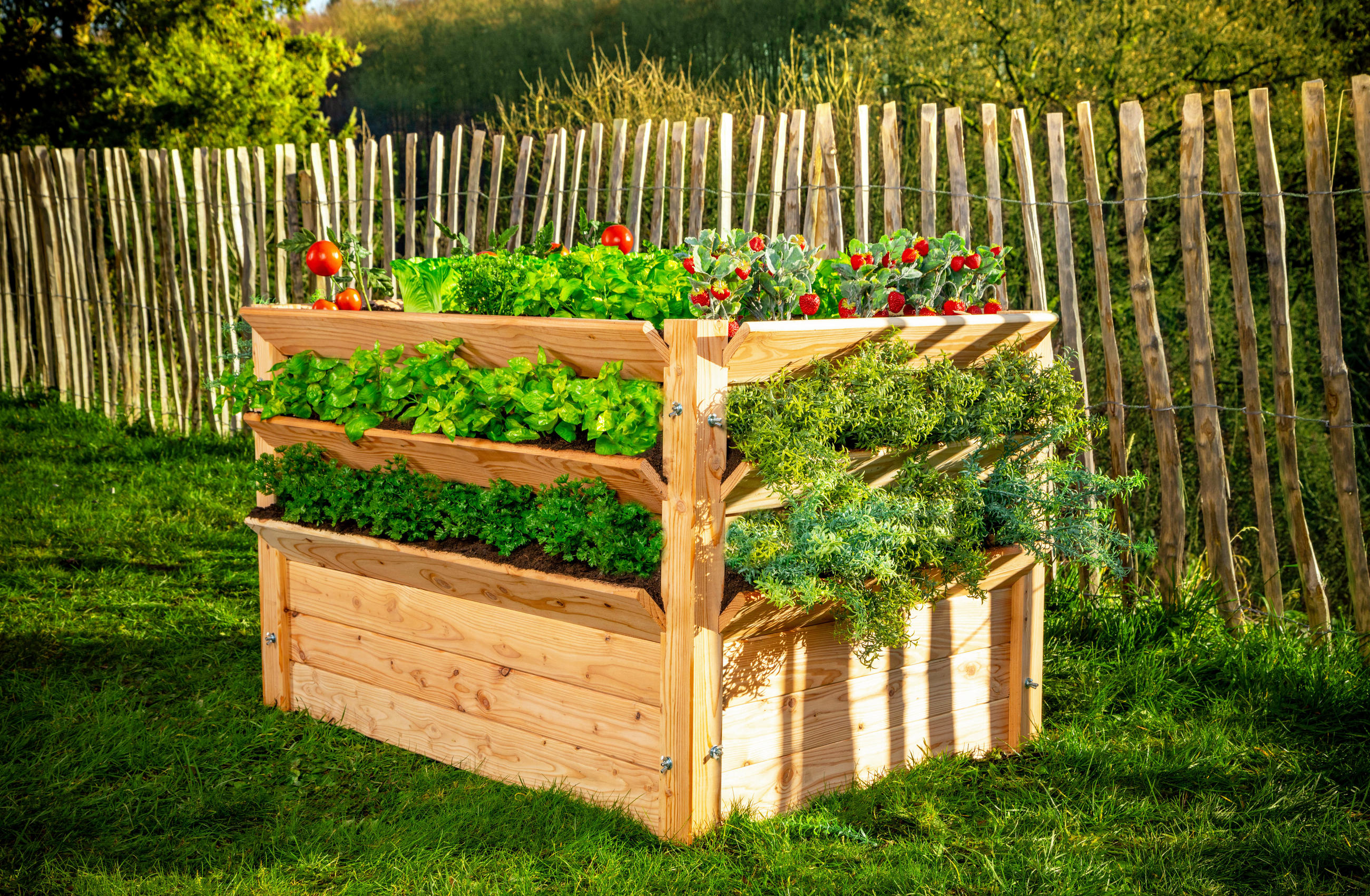 HOCHBEET 124/73/91 cm  - Lärchefarben, Basics, Holz (124/73/91cm)