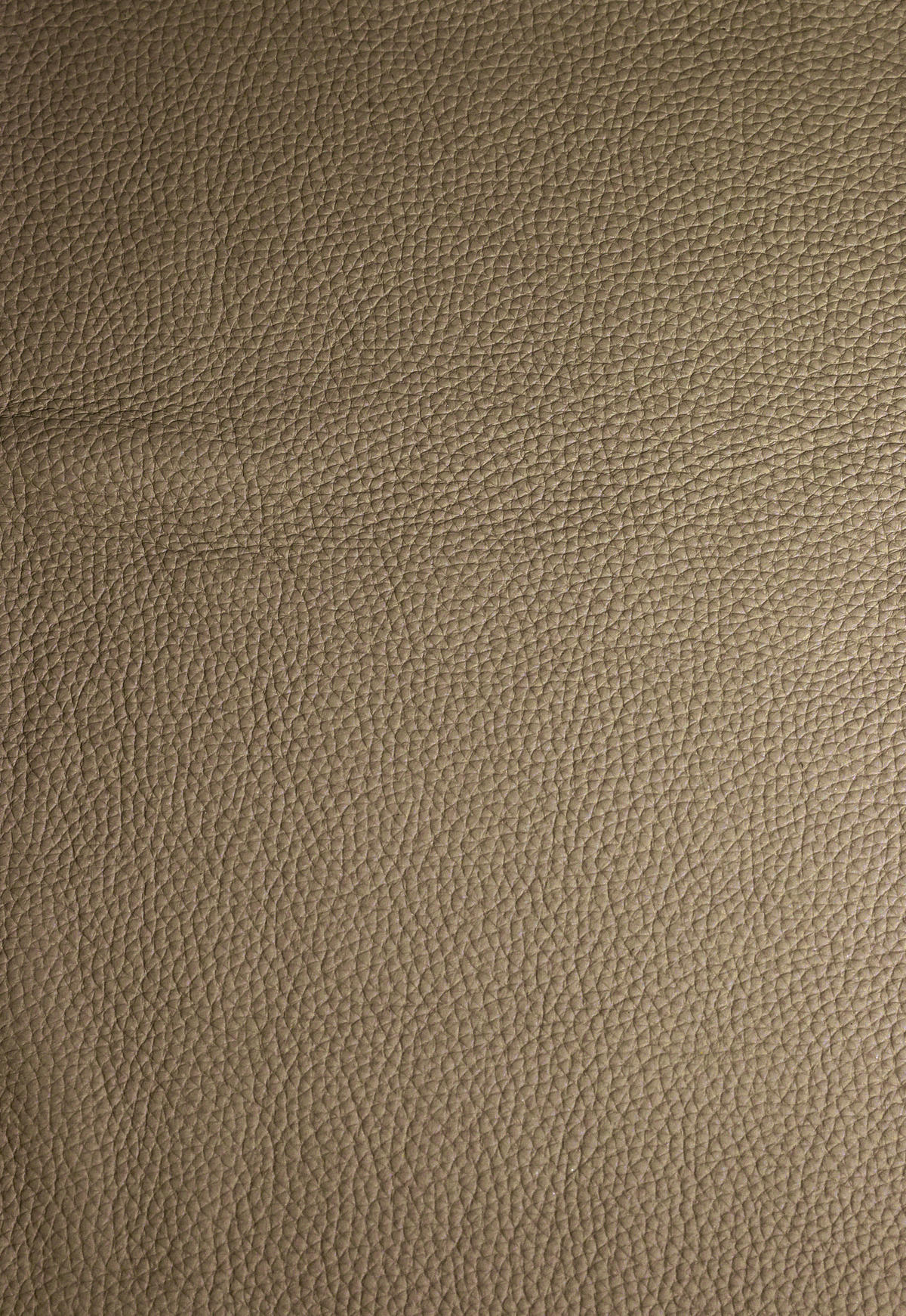 BARHOCKER in Metall, Leder Schwarz, Taupe  - Taupe/Schwarz, Design, Leder/Metall (54/105/53cm) - Dieter Knoll