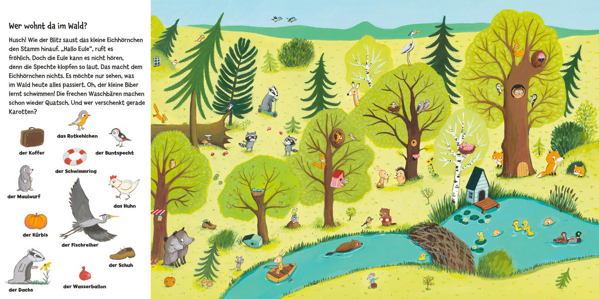 BILDERBUCH - Basics (20/20/1,35cm) - Carlsen