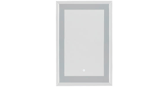 WANDSPIEGEL 90/60/5,3 cm in rechteckig - Silberfarben, Design, Glas/Holzwerkstoff (90/60/5,3cm) - Xora