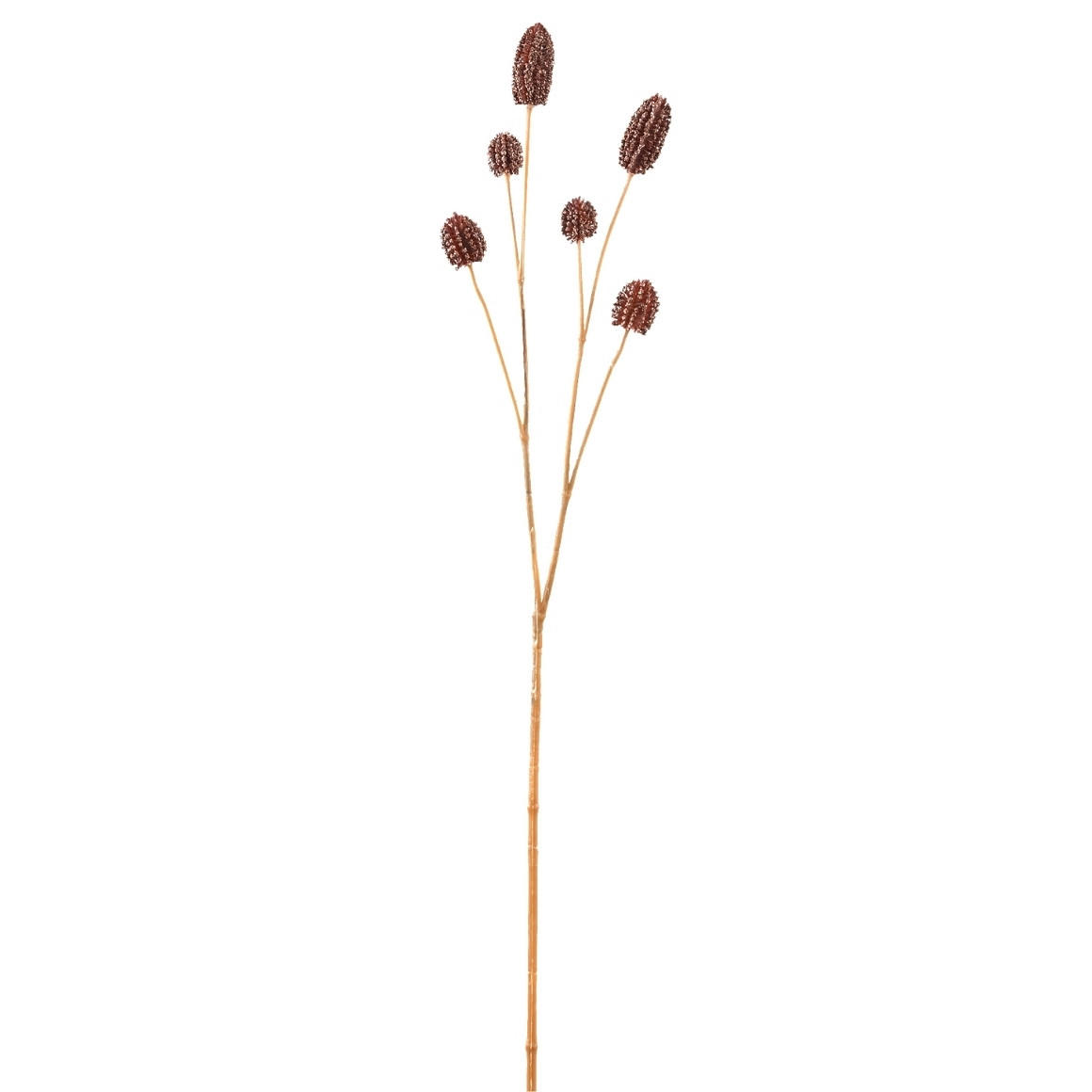 BILJKA UMJETNA  - smeđa, Basics, plastika (28/10/54cm)